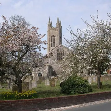 St-M-more-cherries